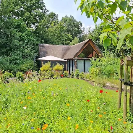 Ferienhaus Buitenhuis In 't Groen 'bed & Stilte'