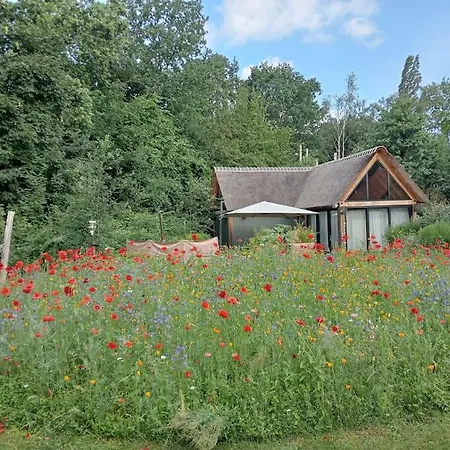 Buitenhuis In 't Groen 'bed & Stilte' Ferienhaus *